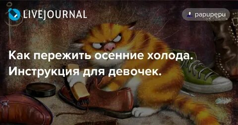 Когда осенью становится холодно