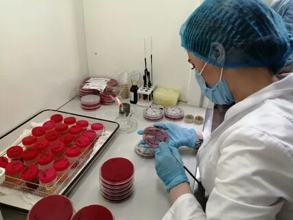 Как работают лаборатории в праздники