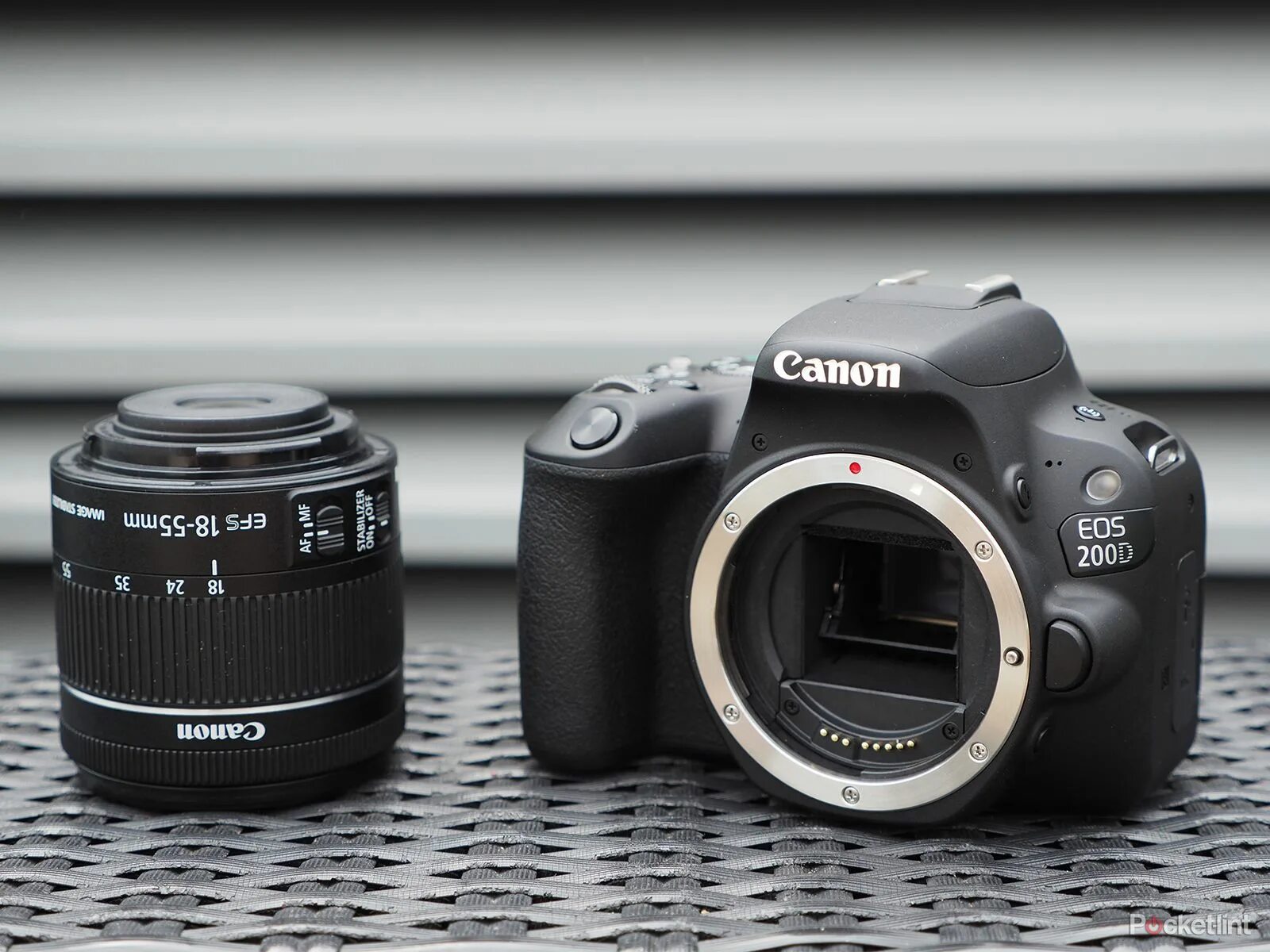 Canon eos 250d kit. Отзывы canon 200. Отзывы canon 200. Фотоаппарат 200d canon. Canon eos 200d kit.