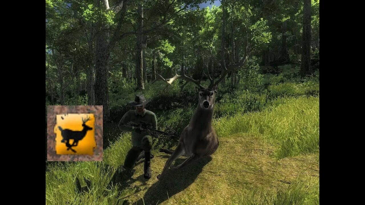 Thehunter classic. The hunter 2. The hunter classic красная рысь. The hunter classic животные. The hunter classic самое дорогое животное.