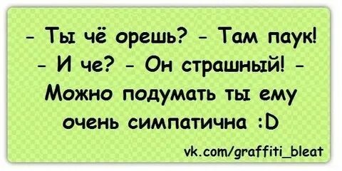 А ты орешь