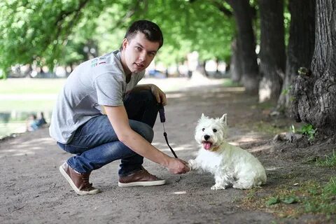 Видео где хозяин