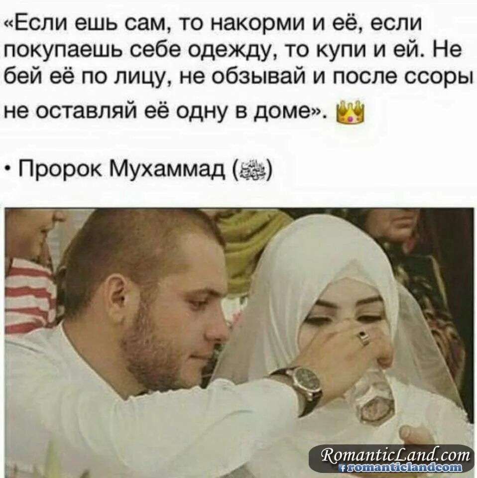 а. хадиджа жена пророка. в. дети пророка мухаммеда. жены мухаммада имена.