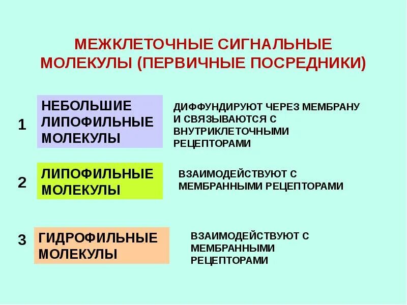 Сигнальные молекулы. Сигнальные молекулы и их классификация. первичные посредники классификация. классификация сигнальных моле. липофильные сигнальные молекулы.