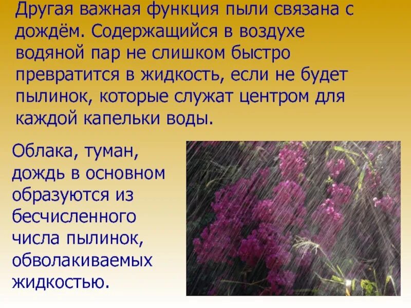 Этот дождь это связывало