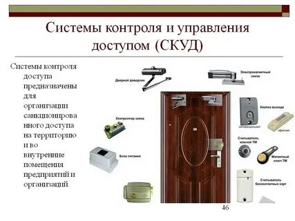Скуд что это такое расшифровка