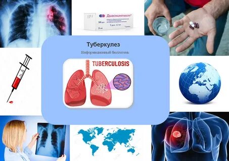 Профилактика туберкулеза биология