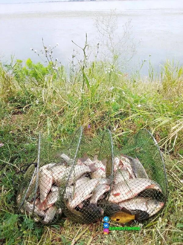 волжские раскаты рыбалка. радищевские пруды малоярославец рыбалка. фидер что за рыба. рыбалка абинск крымск. рыболовецкое озеро.