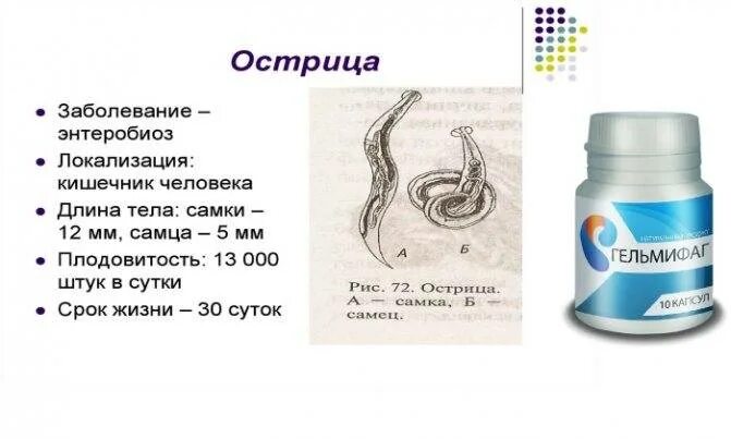 Острицы эффективное лечение. У ребёнка острицы схема. Препарат от остриц для детей. Средство для детей от глистов и остриц.