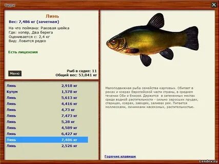 Рыбалка 3 буквы