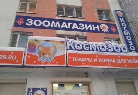 Космозоо