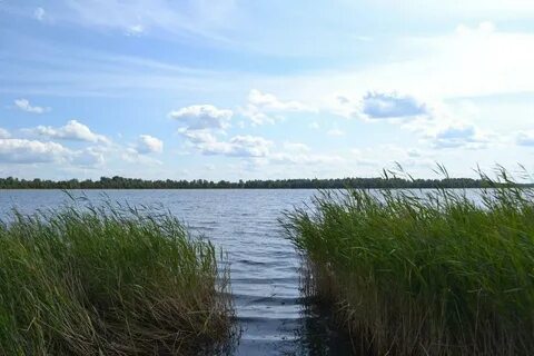 Окунева соленое озеро