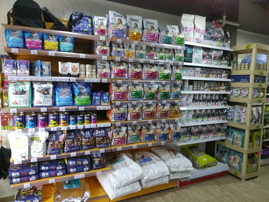 зоомагазин сочи магазин. зоомагазин адлер. зоомагазин сочи с животными. зоомир сочи. зоомагазин адлер.