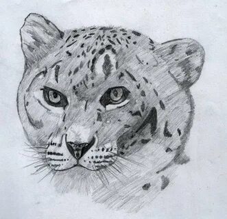 Снежный барс нарисовать