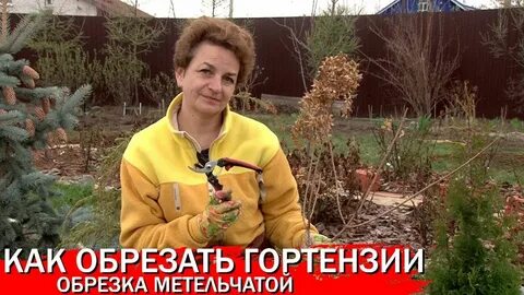 Садовый клуб наталии петренко