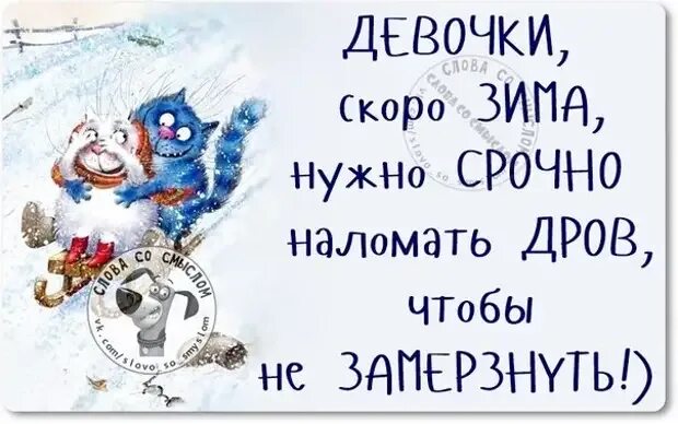Прикольные картинки про зиму с надписями. Смешные зимние высказывания. смешные зимние афоризмы. смешные высказывания про зиму. цитаты про зиму смешные.