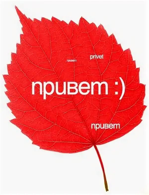 всем привет картинки. привет картинки. привет картинки прикольные смешные. Privet privet st slowed. Privet privet st slowed.