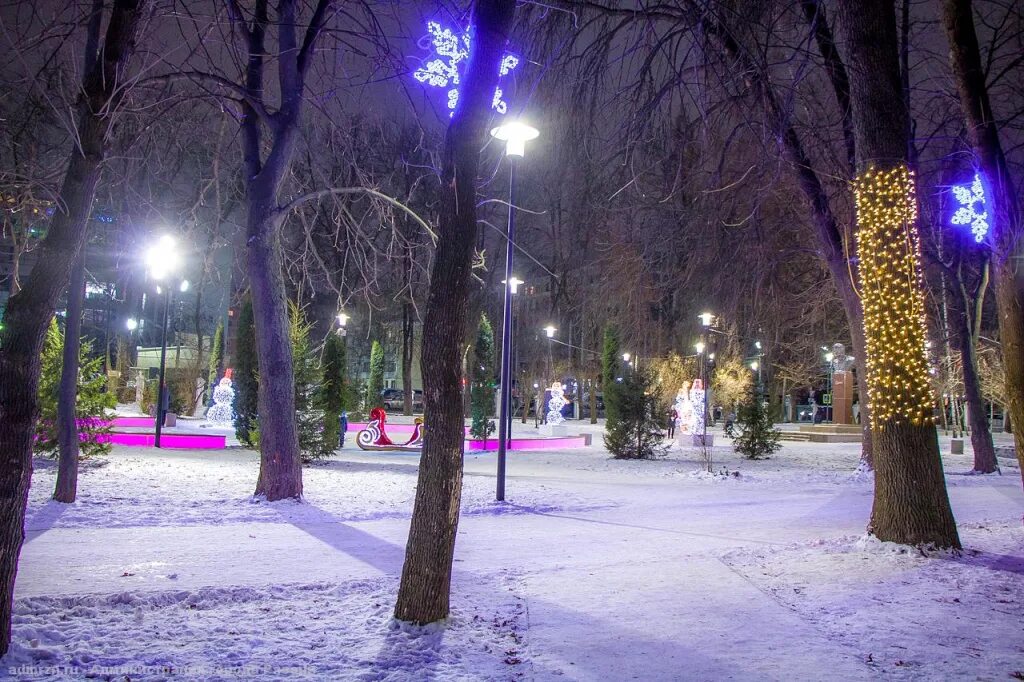 Парка рязань купить. Парк напротив филармонии Рязань. Ночной парк Рязань. Лесопарк Рязань зимой 2022. Наташкин парк Рязань.