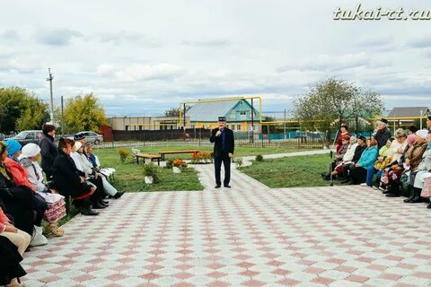 Погода шамхале на 10