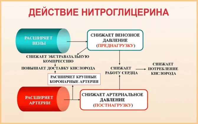 При давлении можно принимать нитроглицерин. Механизм антиангинального действия нитроглицерина. Механизм действия нитроглицерина при стенокардии. Препараты нитроглицерина механизм действия. Нитроглицерин механизм действия.