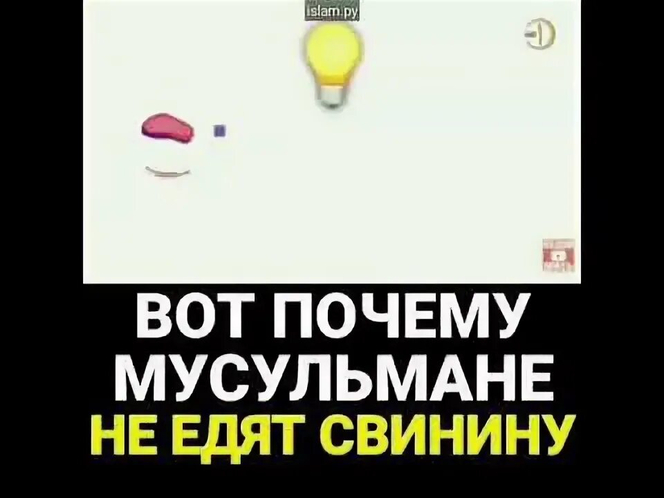 Почему мусульмане не едят днем. Почему мусульмане не едят свинину. Почему мусульманам нельзя есть свинину. Почему запрещено есть свинину. Почему у мусульман запрещена свинина.