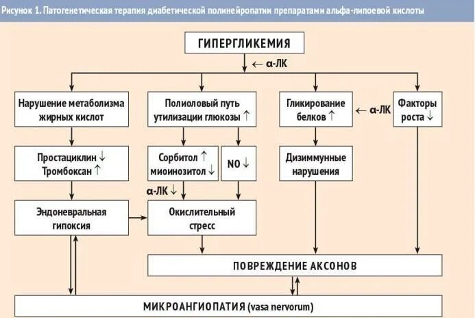 Кислота при полинейропатии. Схема лечения диабетической полинейропатии. Схема лечения диабетической полинейропатии нижних конечностей. Схема лечения полинейропатии нижних конечностей препараты. Схема терапии полинейропатии диабетической.