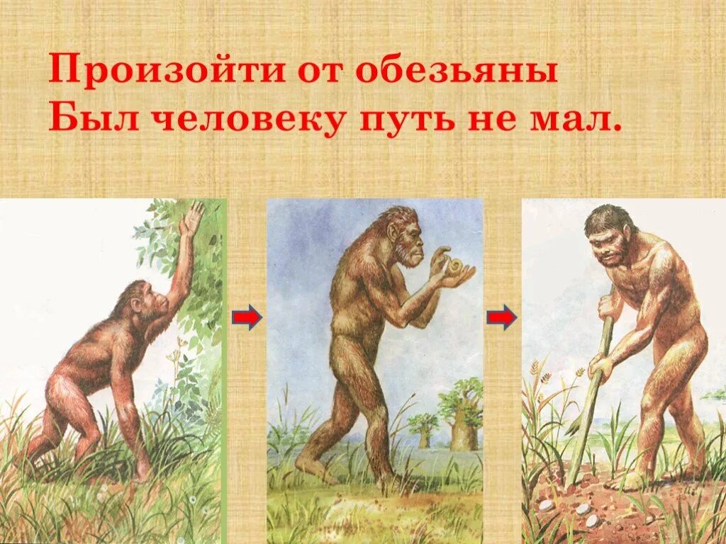 В следствии чего произошел человек. Отчего произошли обезьяны. произошел ли человек от обезьяны. человек произошел от шимпанзе. человек не произошел от обезьяны.