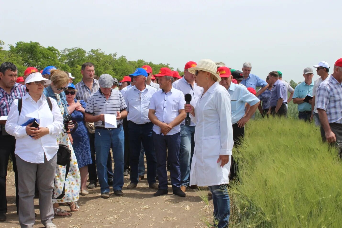 Прогноз погоды новоселицкое ставропольский край. ОПХ Луч Новоселицкий район. ОПХ Луч Новоселицкий район Ставропольский. ООО ОПХ Луч Новоселицкий район. ООО ОПХ Луч Новоселицкий район Ставропольский край.