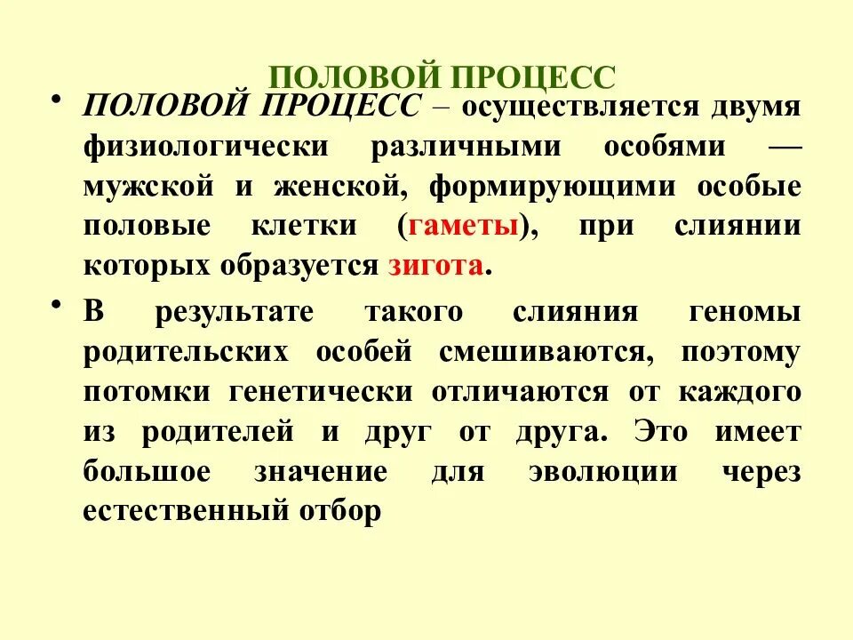 Половое и бесполое размножение виды и характеристика. Характеристика особенностей полового размножения. Особенности полового процесса. Половое размножение. Эволюция форм полового размножения.