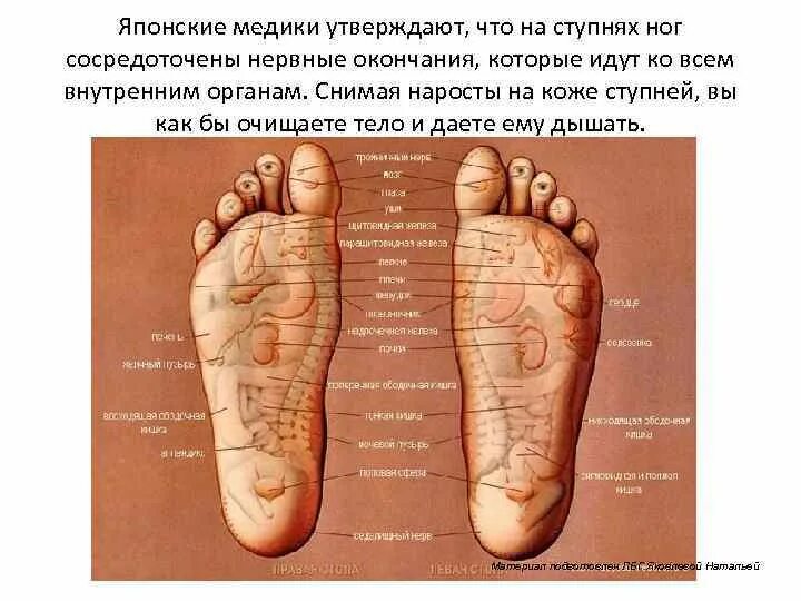 Инфекции на подошве стопы. Нервные окончания на стопе ноги.