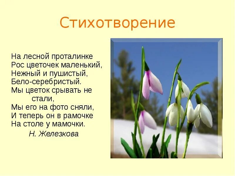 Первые весенние цветы стихи. На Лесной проталинке рос цветочек маленький. Стих на проталинке Лесной. Стихотворение о весне. Стихотворение на Лесной проталинке рос цветочек маленький.