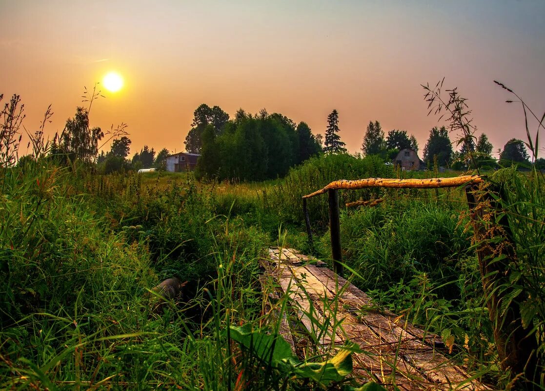 деревня высоково кировской области. деревня солнечный. природа деревня. деревенская природа. деревенская природа.