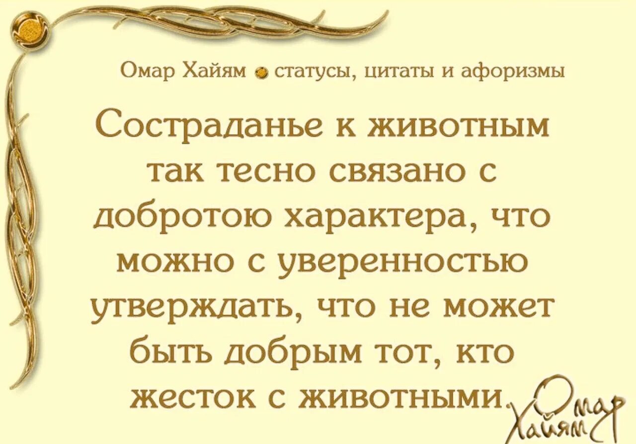 Высказывания омара хайяма про жизнь. Омар Хайям. Афоризмы. Омар Хайям высказывания. Мудрые высказывания Омара Хайяма. Омар Хайям цитаты.