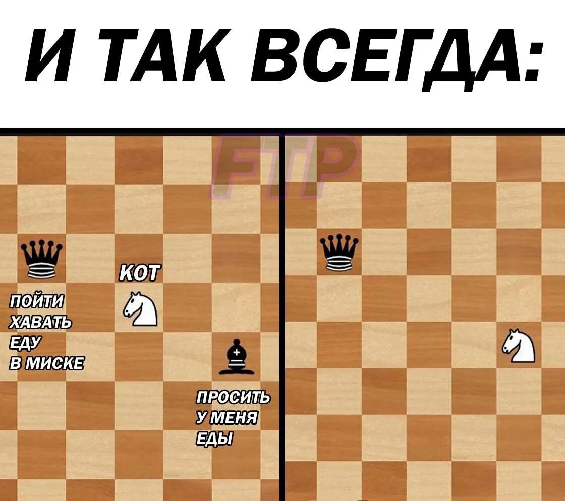 21 ошибка новичка в шахматах