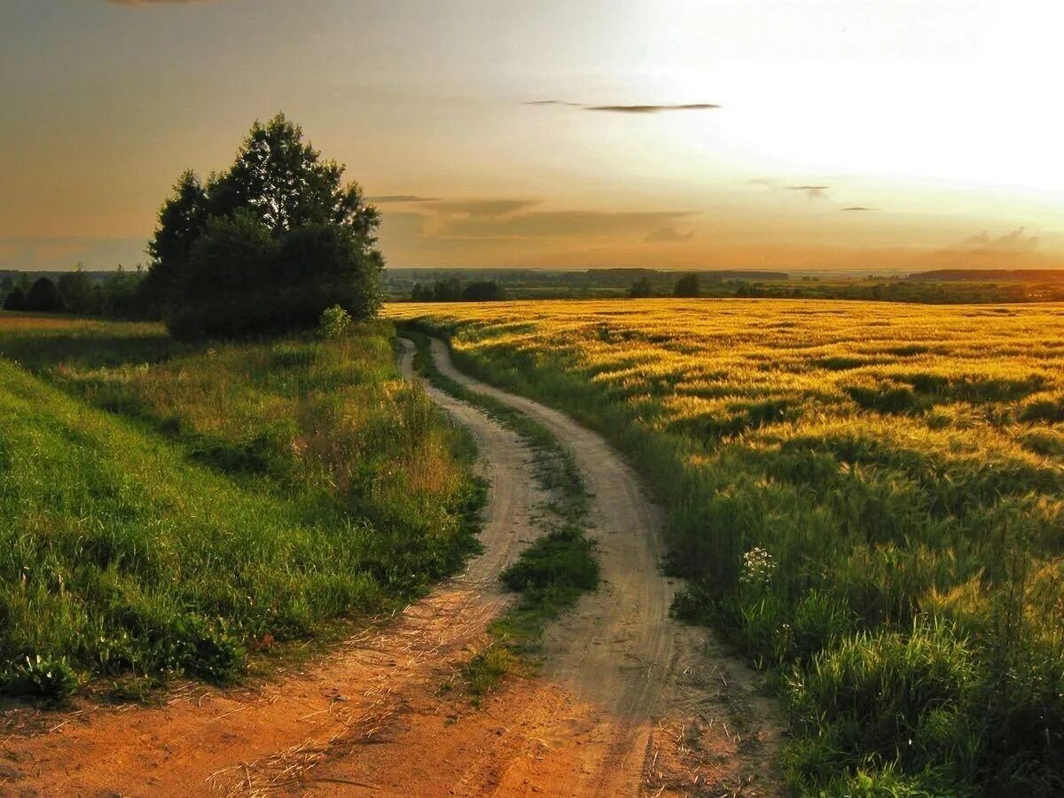 фотосессия уходящее лето. просёлочная тропа. глухомань русская деревня. летний закат в деревне. уходит лето в деревне.