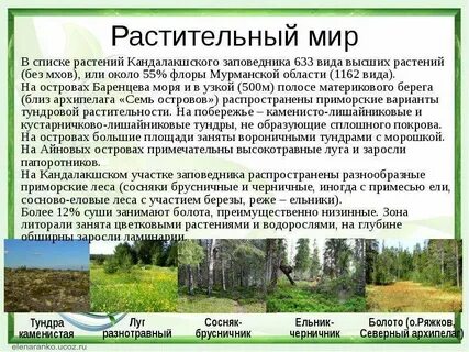 Заповедник основные объекты охраны