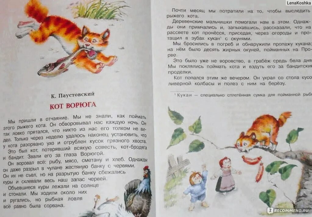 Рассказ Паустовского кот ворюга. Книга кот ворюга Паустовский. Кот-ворюга Паустовский текст.