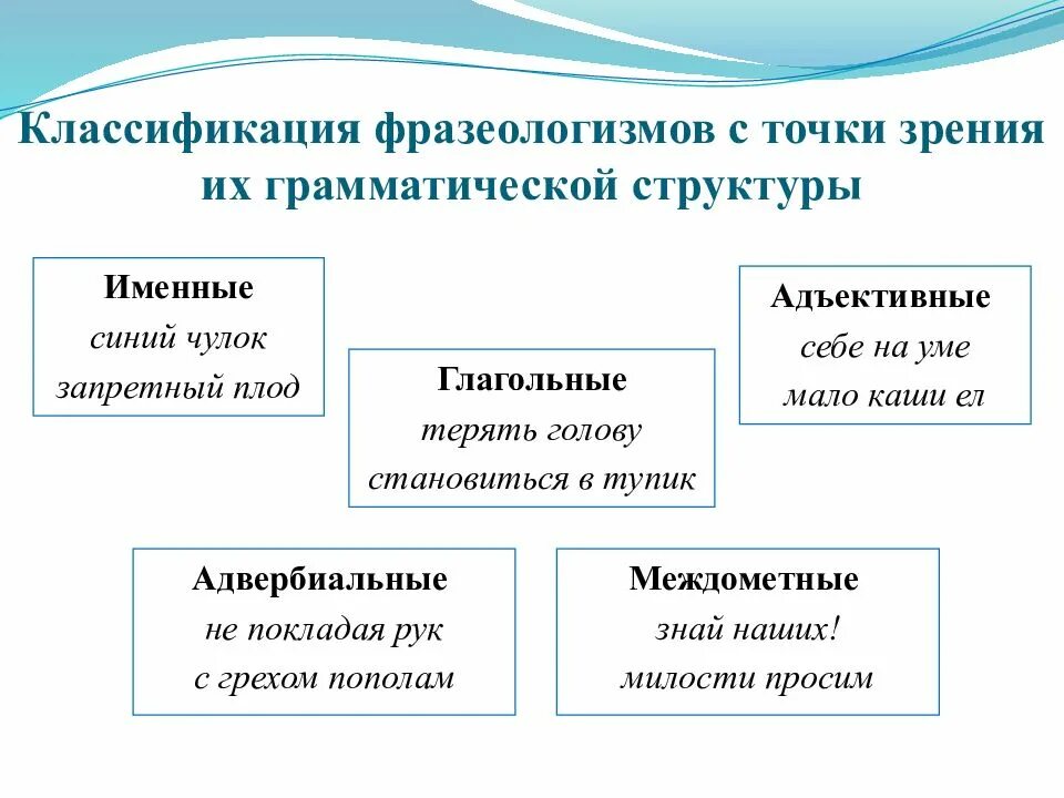 Фразеологизм это лексика. Классификация фразеологизмов. Типы фразеологизмов. Фразеологизмами классификация фразеологизмов. Классификация фразеологизмов с точки зрения.