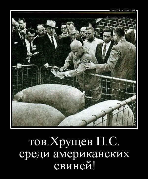 Анекдот про хрущева который отправил колбасу