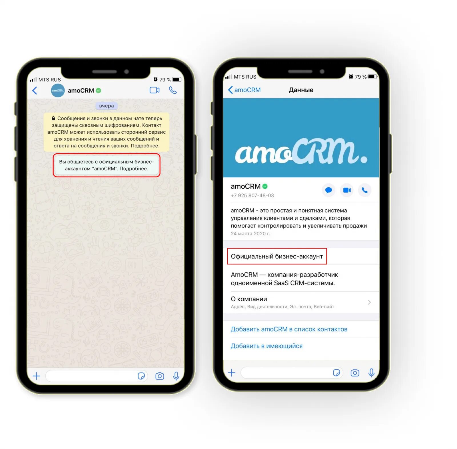 Две галочки в телеграмме. Двойная галочка в телеграмме. Одна галка в телеграмм. Одна галочка в телеграмме. Обои для телеграмма на компьютер.