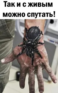 Паук на правой руке