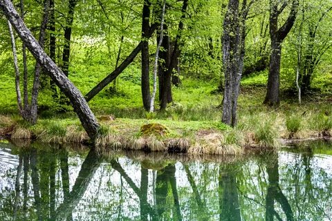Голубая криница могилевская область