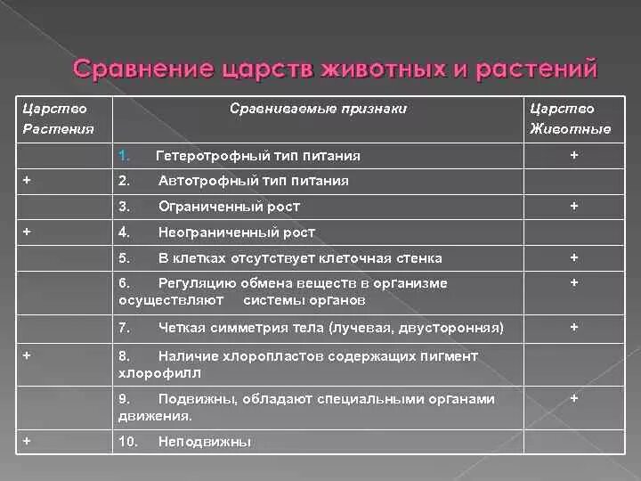 Признаки царства 5 класс биология. Особенности представителей царства животных. Общая характеристика царства животные. Общая характеристика Царств. Царство животные Общие признаки.