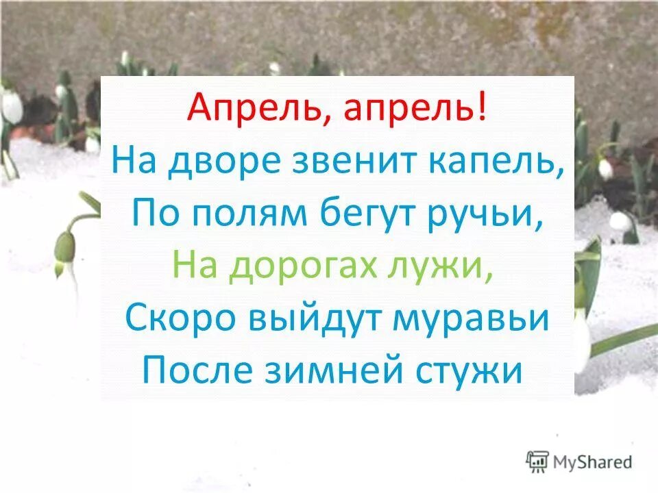 Вышли муравьи после зимней стужи. Апрель апрель на дворе звенит капель по полям бегут ручьи. Апрель апрель на дворе звенит.