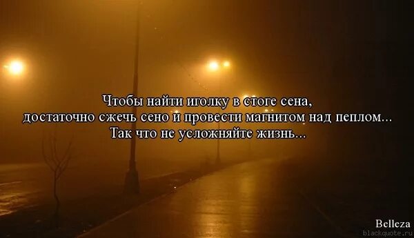 Значение пословицы искать иголку. Цитаты про сено. Игла в стоге сена пословица. Пословица про иголку в стоге сена. Фразы о сене.