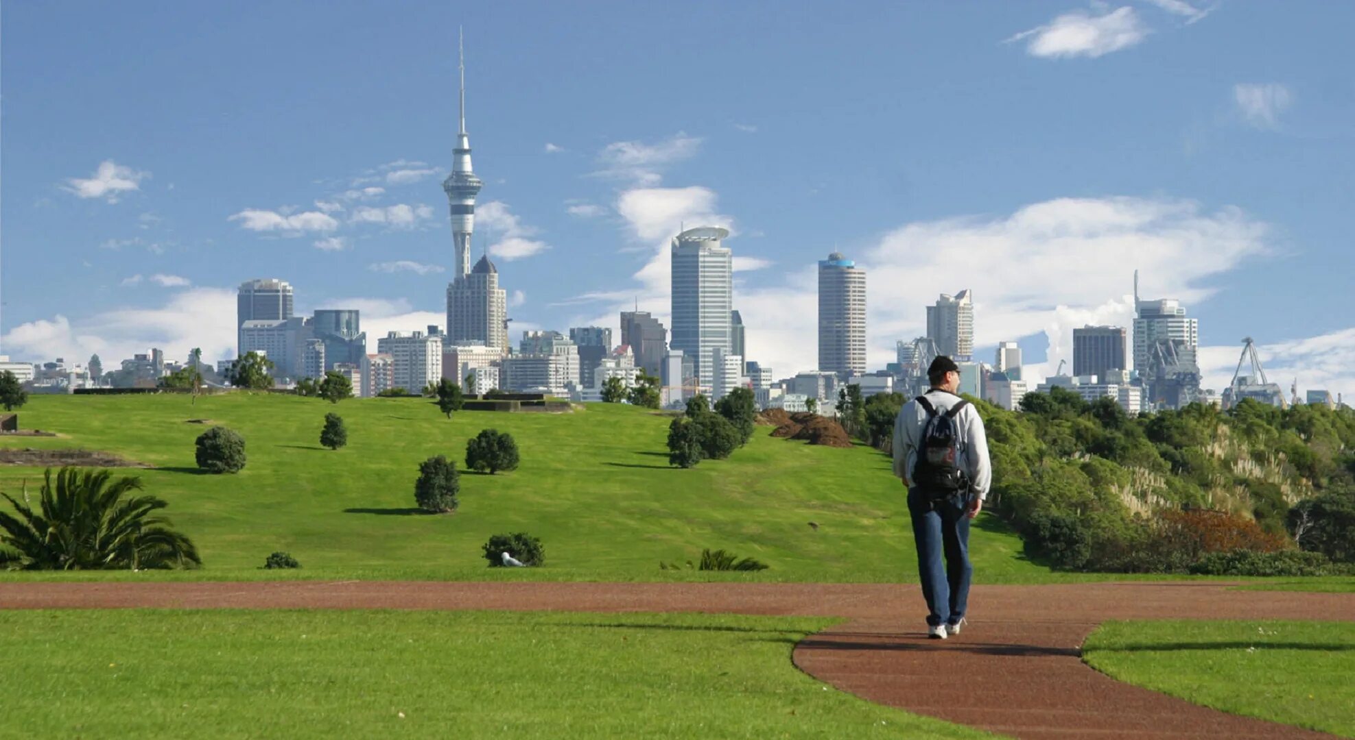 Домашние животные новой зеландии. Окленд люди. Life in new zealand. Новая зеландия люди. Семья в новой зеландии.