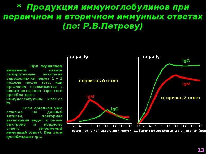 Первичный иммуноглобулин. Динамика накопления антител фазы антителообразования. Динамика образования антител при первичном иммунном ответе. Динамика продукции иммуноглобулинов. Графики первичного и вторичного иммунного ответа.