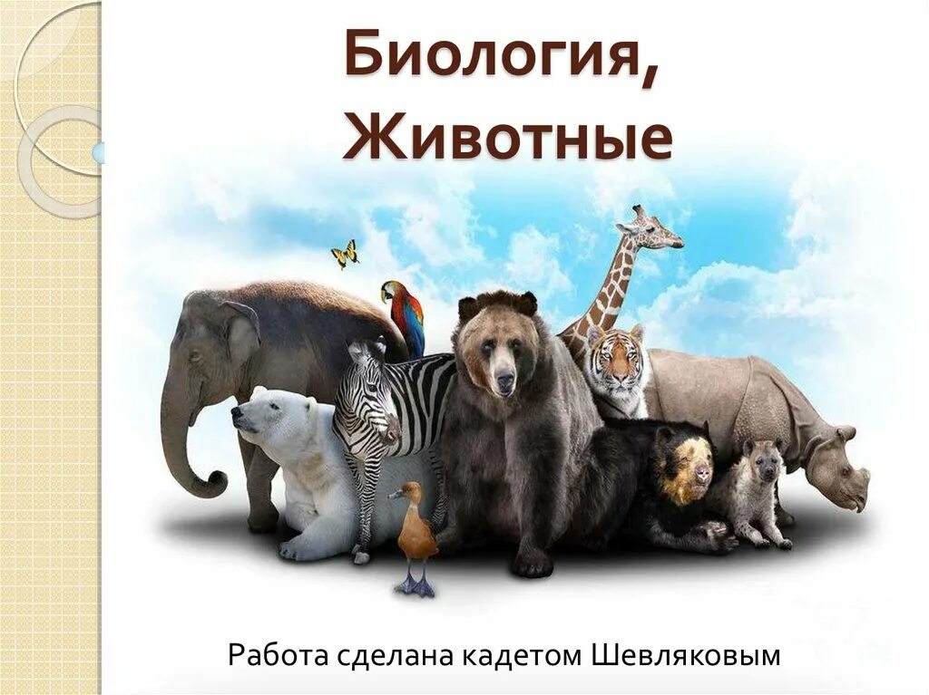 Биология животные. Биология животного это. Биология картинки животные. Биология проект животные