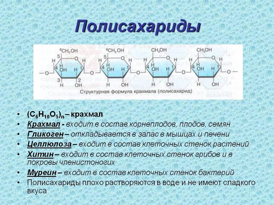 Целлюлоза физ свойства. Полисахариды примеры формулы. Строение полисахаридов биология. Формулы образования полисахаридов. Представители полисахаридов формулы.