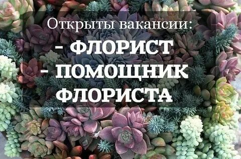 Помощник флориста вакансии
